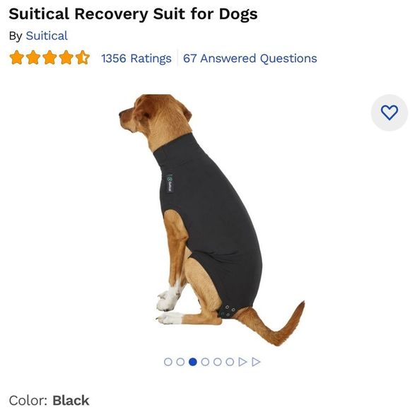 Suitical Recovery Suit for Dogs, Black, Medium NIB - Picture 3 of 4